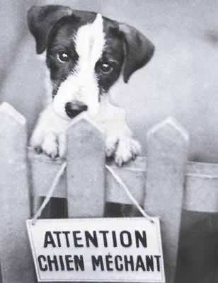 attention 